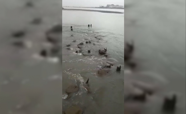 Hatay’da deniz suyu önce çekildi sonra yeniden yükseldi