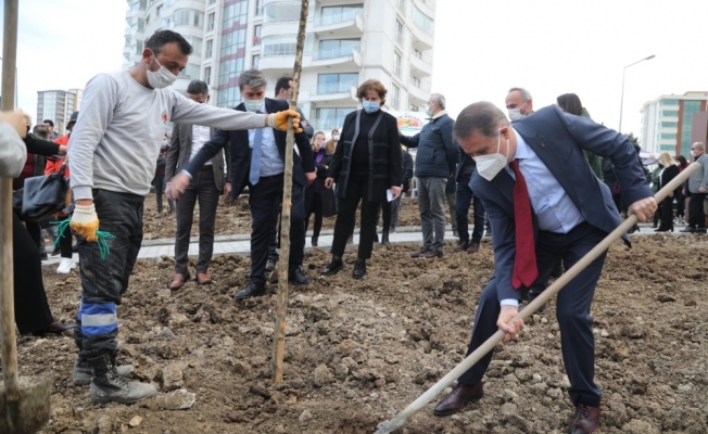 Hayatını kaybeden sağlıkçılar anısına 150 mimoza fidanı diktiler