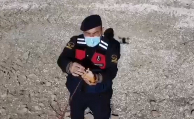 Jandarma yaban keçilerine saman, balıklara drone ile ekmek bıraktı