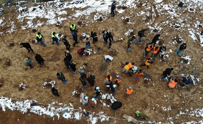 Kastamonu’da rehabilite edilen çöp sahasına bin fidan dikildi