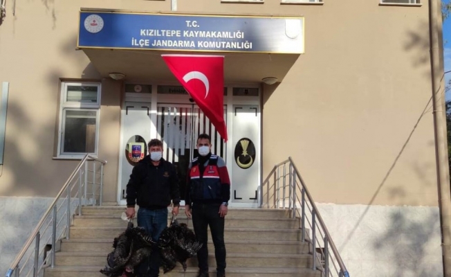 Kızıltepe’de kümes hırsızları, 27 kamera takibe alınarak yakalandı
