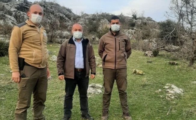 Kurakçılık yöntemiyle keklik avlayan 2 kişi yakalandı