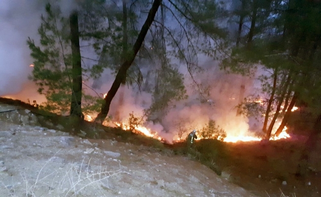 Muğla’da yılın ilk orman yangını