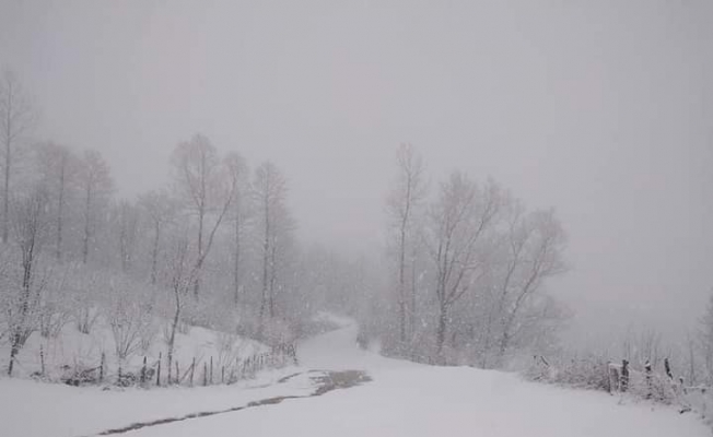 Ordu’da bahar ayında kar sürprizi