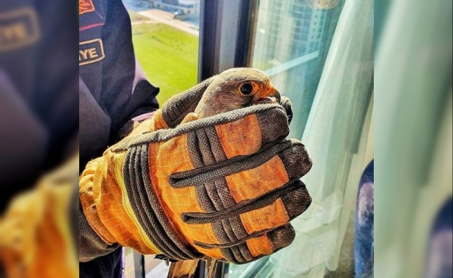 Pencereye sıkışan doğanı itfaiye kurtardı