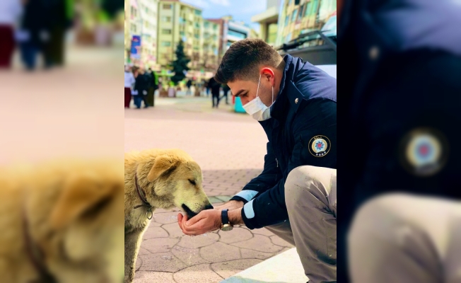 polisler sokak hayvanlarını elleriyle besledi