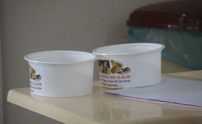 Sessiz canlara adanmış bir hayat