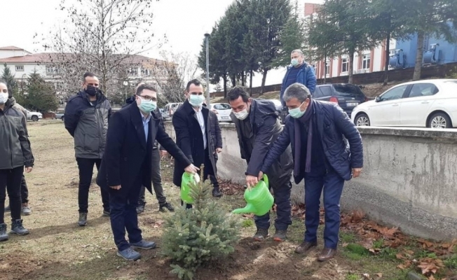 Taşova’ya 11 bin fidan