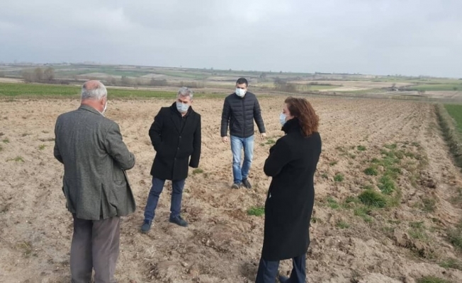 Tekirdağ’da yeni nohut çeşitleri için çalışmalar başladı