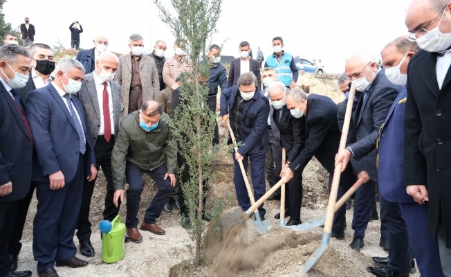 TOBB’dan Belen’deki yangınlarda zarar gören alanlara 31 bin fidan