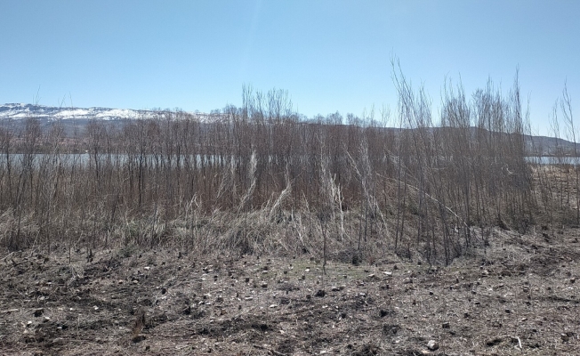 Yağmur ve şiddetli rüzgar sazlık alanda hasar bıraktı
