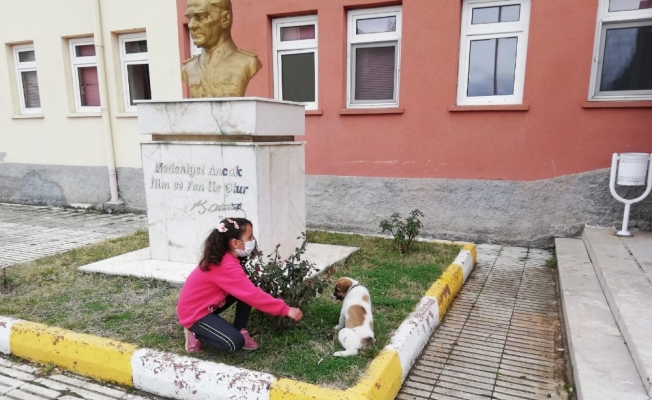 YİBO öğrencileri sahiplendikleri sokak köpeğine okul bahçesinde bakacaklar