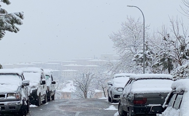 Yüksek kesimlerde kar yağışı etkili oluyor