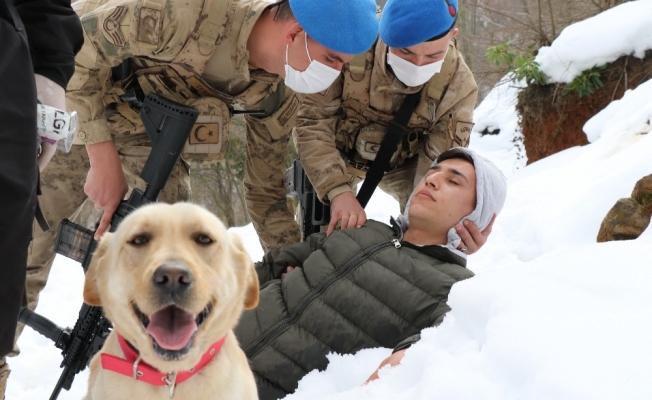 Zonguldak Jandarması’nın ’süper burun’ köpekleri