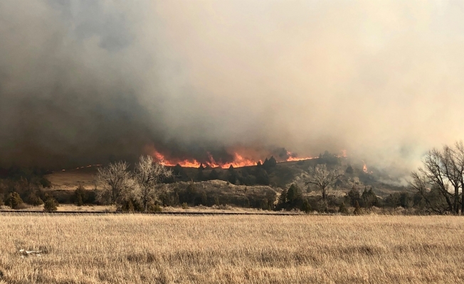 ABD’nin Kuzey Dakota eyaletinde orman yangını: gökyüzü dumanla kaplandı