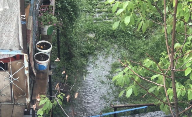 Amasya’da sağanak