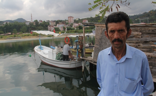 Arslan: "Hamsi avı çok kısa sürdü, palamut olmasa birçok balıkçımız zor durumda kalırdı”