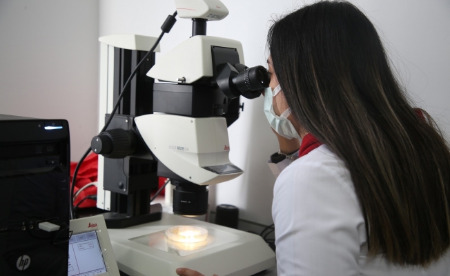 Atatürk Üniversitesi Gıda Güvenliğini sağlayacak