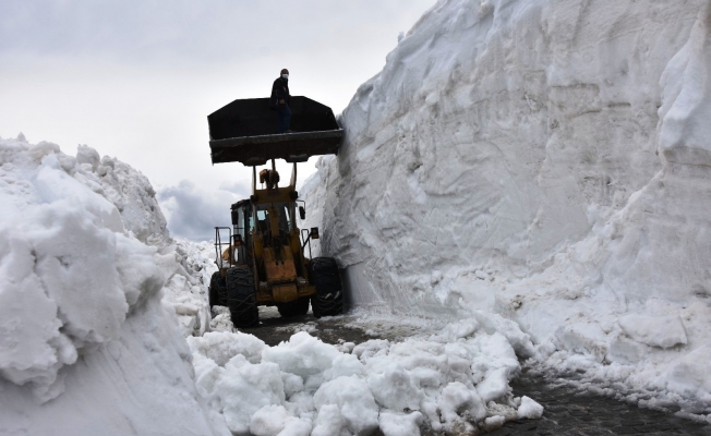 Bahar ayında Bitlis’te 10 metrelik karla mücadele çalışmaları