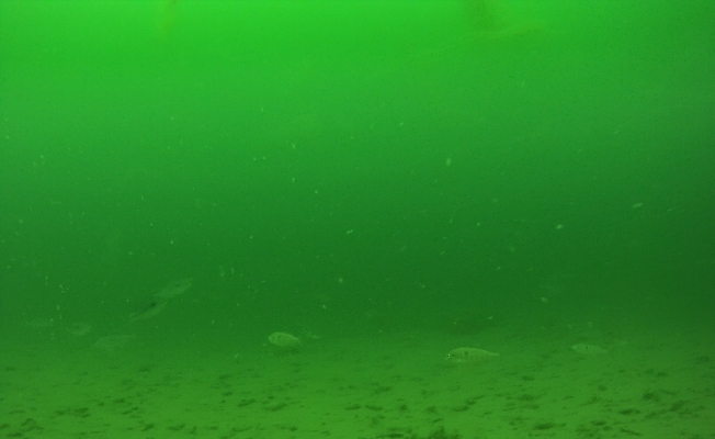 Belgesel değil, Kocaeli Körfezi