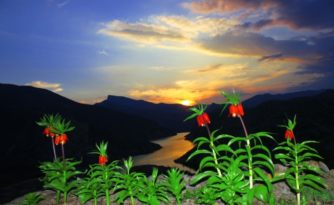 Cezası el yakıyor, görüntüsü kartpostalı andırıyor