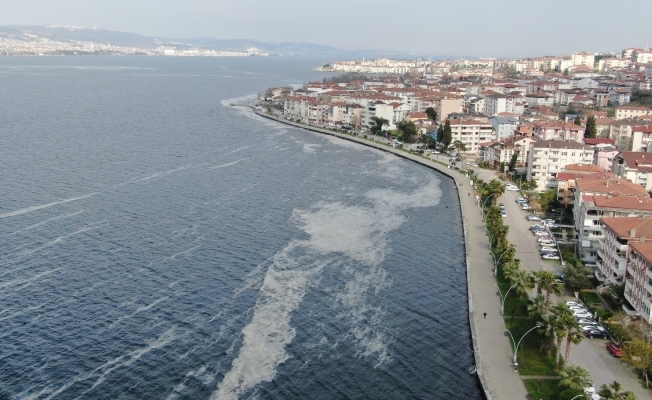 Deniz salyası İzmit Körfezi’ni beyaza bürüdü