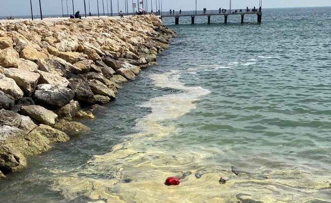 Deniz yüzeyi sarıya boyandı, Büyükşehir Belediyesi açıklama yaptı: ‘Korkmayın’