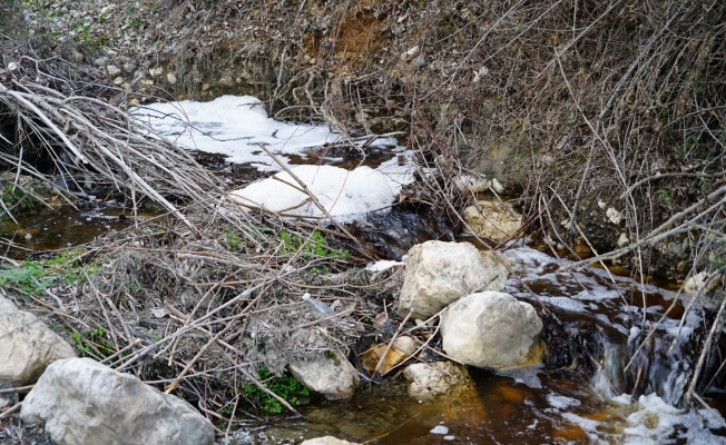 Derenin suyu kahverengi ve köpüklü akıyor