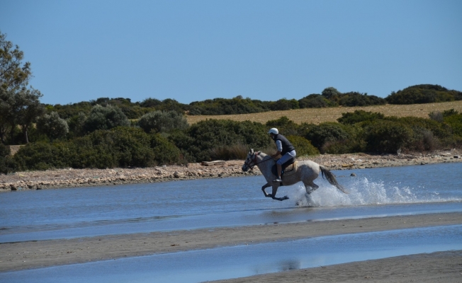 Didim’de alternatif turizm hareketliliği etkinlikle anlatıldı