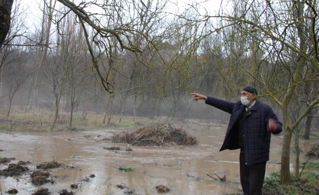 Domaniç’te dereler taştı, tarım arazileri sular altında kaldı