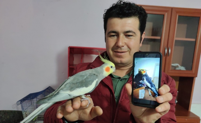 Her sabah papağan Bitik’in söylediği “Ölürüm Türkiye’m” parçasıyla kalkıyorlar