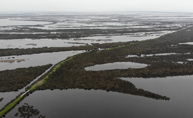Kızılırmak Deltası eski haline döndü