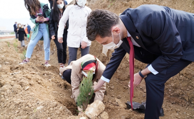 Korona virüsle mücadelenin isimsiz kahramanları için fidan diktiler