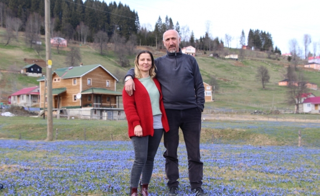 Mor Yayla’nın Mavi Yıldız çiçekleri açtı