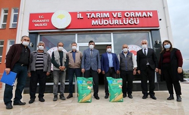 Osmaniye’de çiftçilere silajlık mısır tohumu dağıtıldı