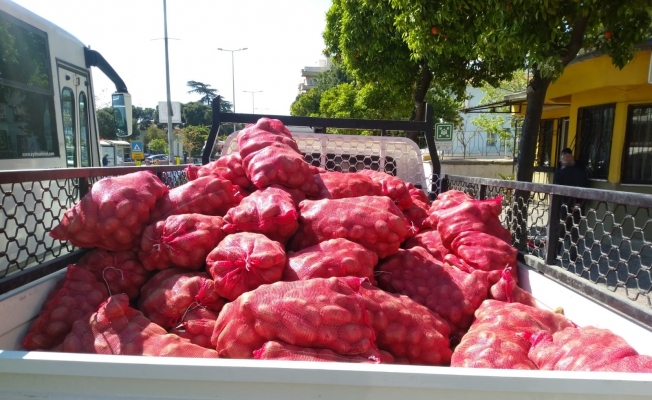 Patates dağıtımı Aydın’da devam ediyor