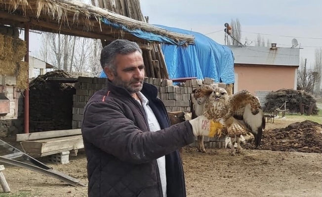 Şahin yırtıcısı tedavi altına alındı