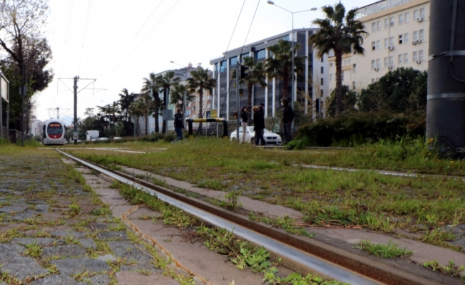 Tırtılların kelebeğe dönüşme yolculuğu raylardan geçiyor