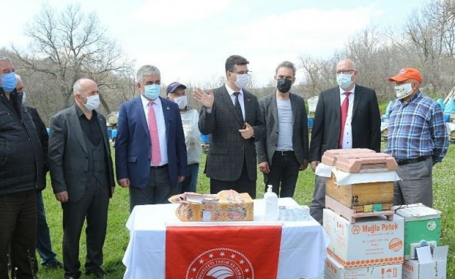 Üreticilere lavanta fidesi ve petek dağıtımı yapıldı Üreticilere lavanta fidesi ve petek dağıtımı yapıldı