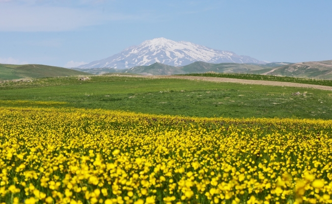 Ahlat’ta renk cümbüşü