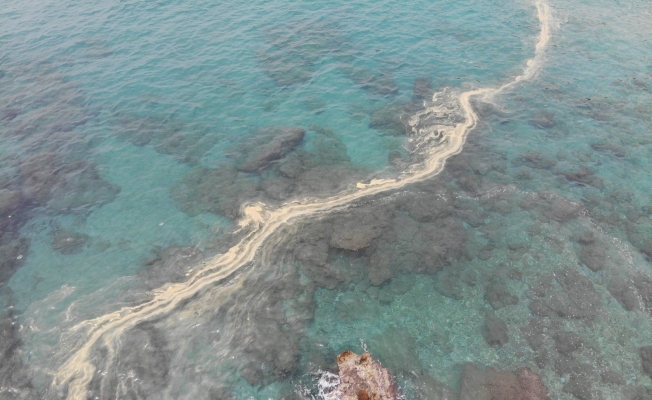 Alanya’da deniz salyası kıyılara vurdu