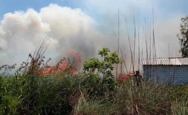 Antalya'da sazlık yangını ahır ve ev eklentilerini tehdit ediyor