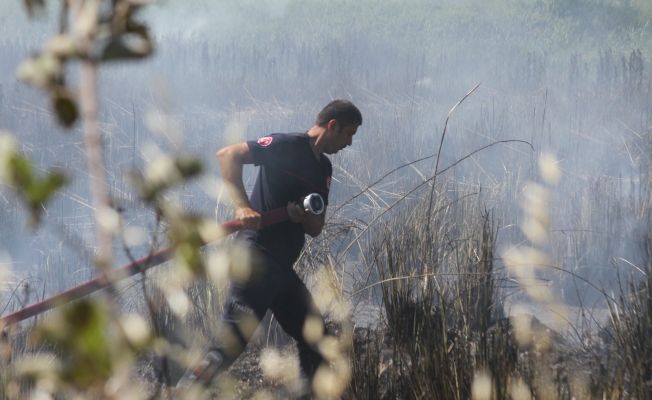 Antalya’da yangın sazlık alanı küle çevirdi