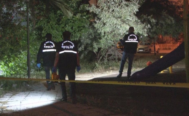 Arkadaş cinayetinde ilk ifade: "Aynı kızı seviyorlarmış"