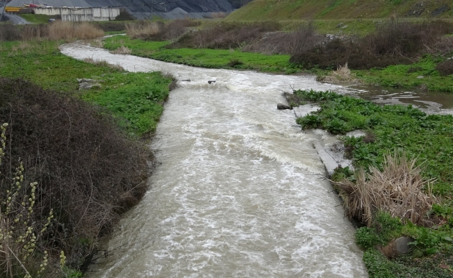 Atıksu tesisindeki sular arıtılmadan akıtıldı, Riva Deresinde su kirliliği oluştu