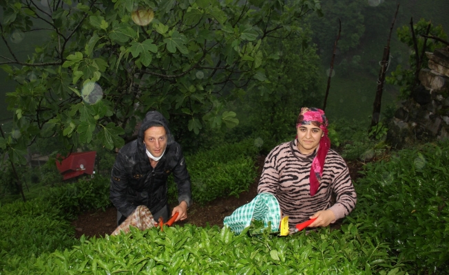 Azerbaycanlı gelin bir yılın sonunda Rizeli eşine kavuşabildi
