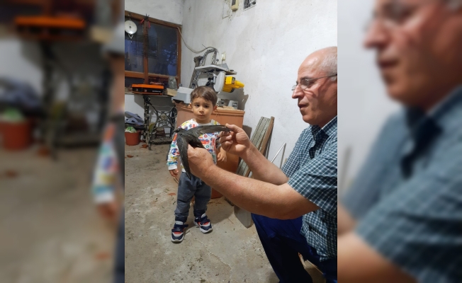 Bahçesine düşen ebabil kuşunu yetkililere teslim etti