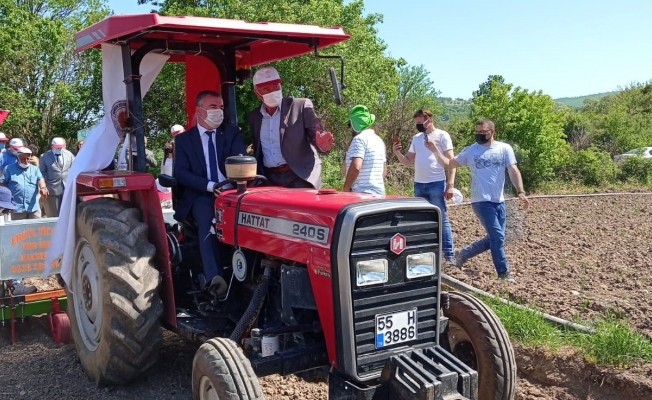 Başkan Özdemir traktörle nane dikimi yaptı