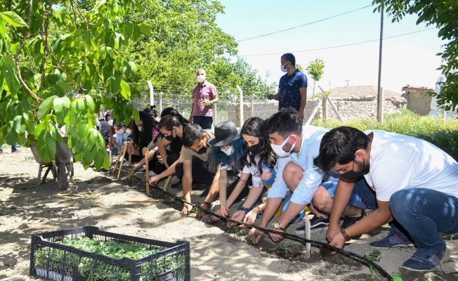 Başkent’te genç çiftçi sayısı her geçen gün artıyor