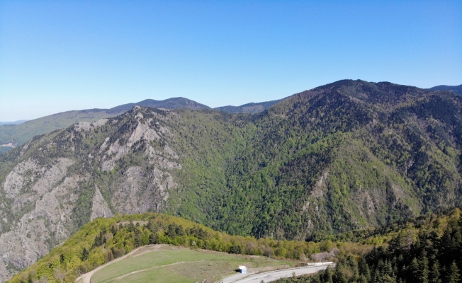 Batı Karadeniz’in gözdesi Kastamonu Yaylaları, turizm sezonuna hazırlanıyor